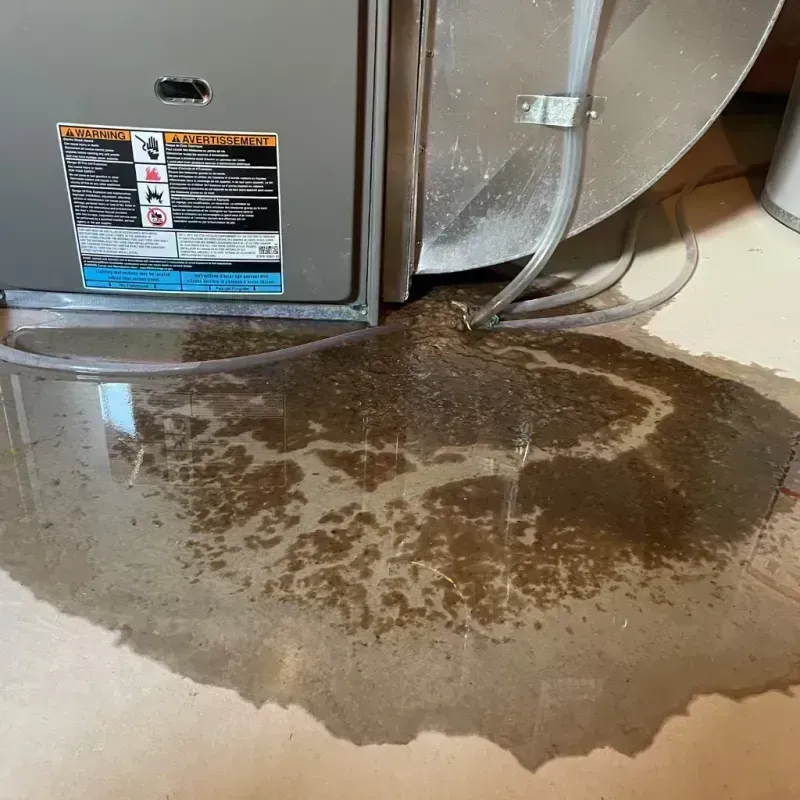 Appliance Leak Cleanup in Princeton, TX